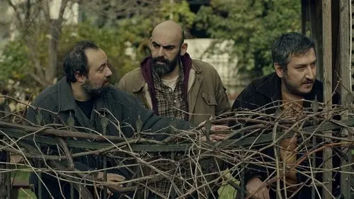 Gibi izle - Dizipal