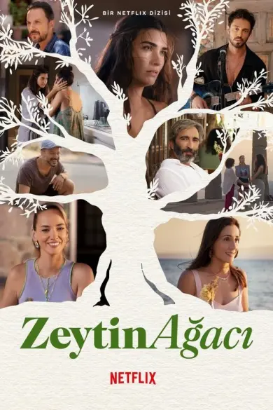 Zeytin Ağacı izle - Dizipal